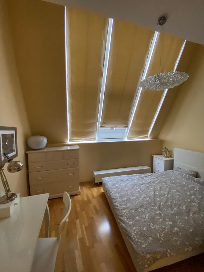 Riga Centre , Skyloft Apartment 178M2 Eksteriør billede